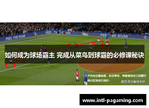 如何成为球场霸主 完成从菜鸟到球霸的必修课秘诀