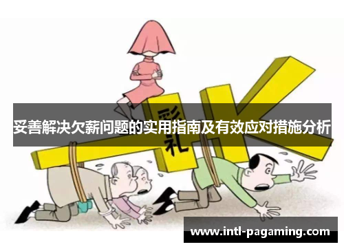 妥善解决欠薪问题的实用指南及有效应对措施分析
