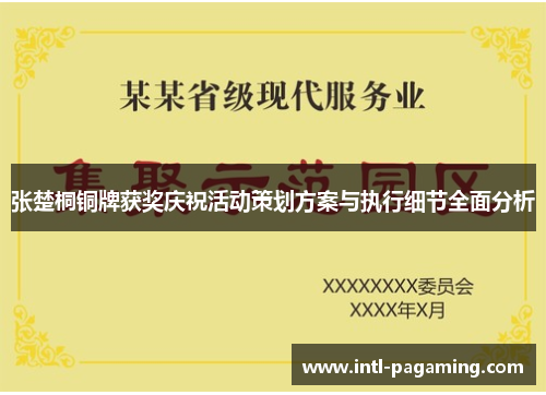 张楚桐铜牌获奖庆祝活动策划方案与执行细节全面分析