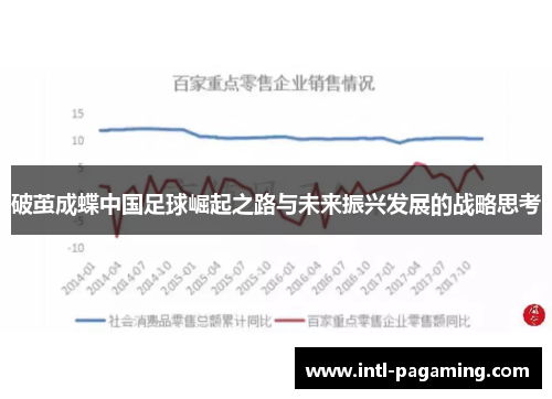 破茧成蝶中国足球崛起之路与未来振兴发展的战略思考 破茧成蝶中国足球崛起之路与未来振兴发展的战略思考