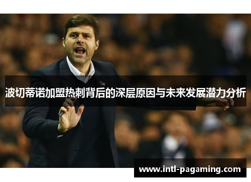 波切蒂诺加盟热刺背后的深层原因与未来发展潜力分析