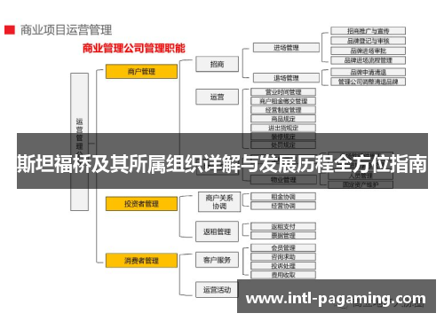 斯坦福桥及其所属组织详解与发展历程全方位指南