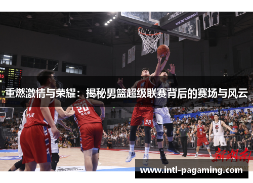 重燃激情与荣耀：揭秘男篮超级联赛背后的赛场与风云