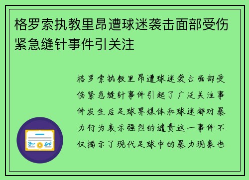 格罗索执教里昂遭球迷袭击面部受伤紧急缝针事件引关注
