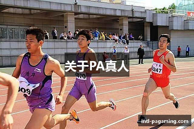 关于PA真人